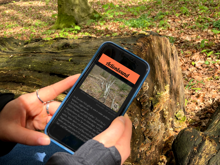 Handy mit geöffneter Actionbound-Aufgabe im Eversten Holz