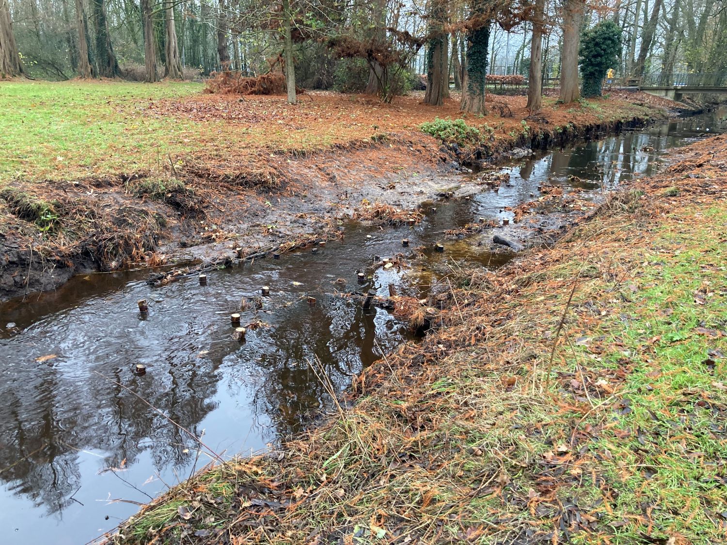 Wasserlauf