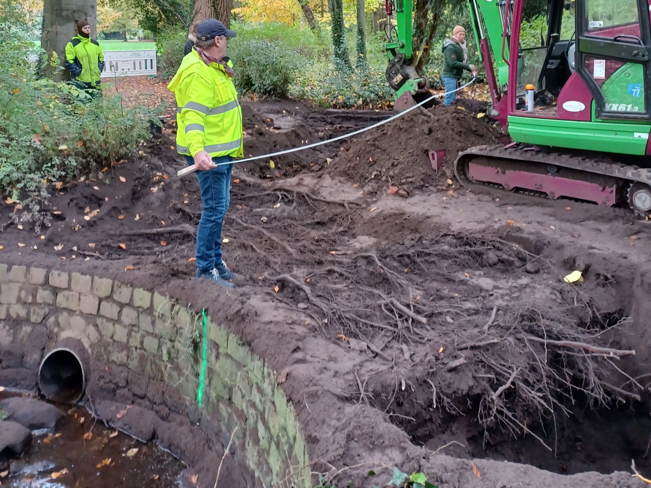 Baumwurzeln über dem Rohrdurchlass