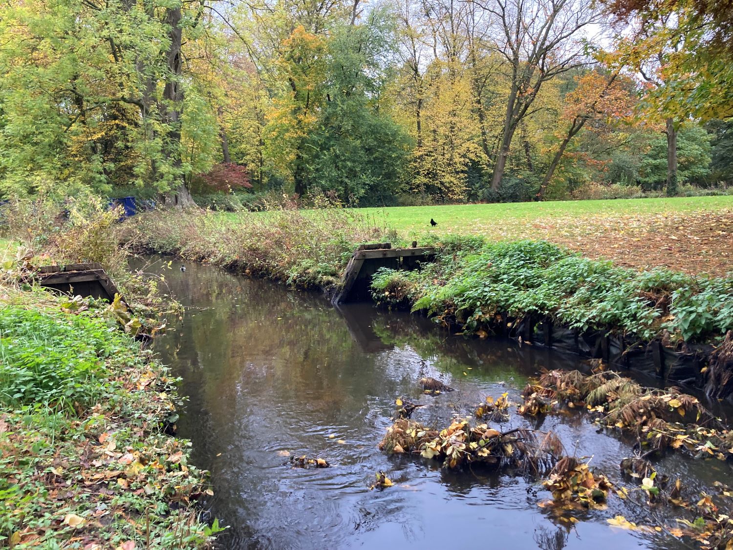 Gewässer mit resten eines hölzernen Staus