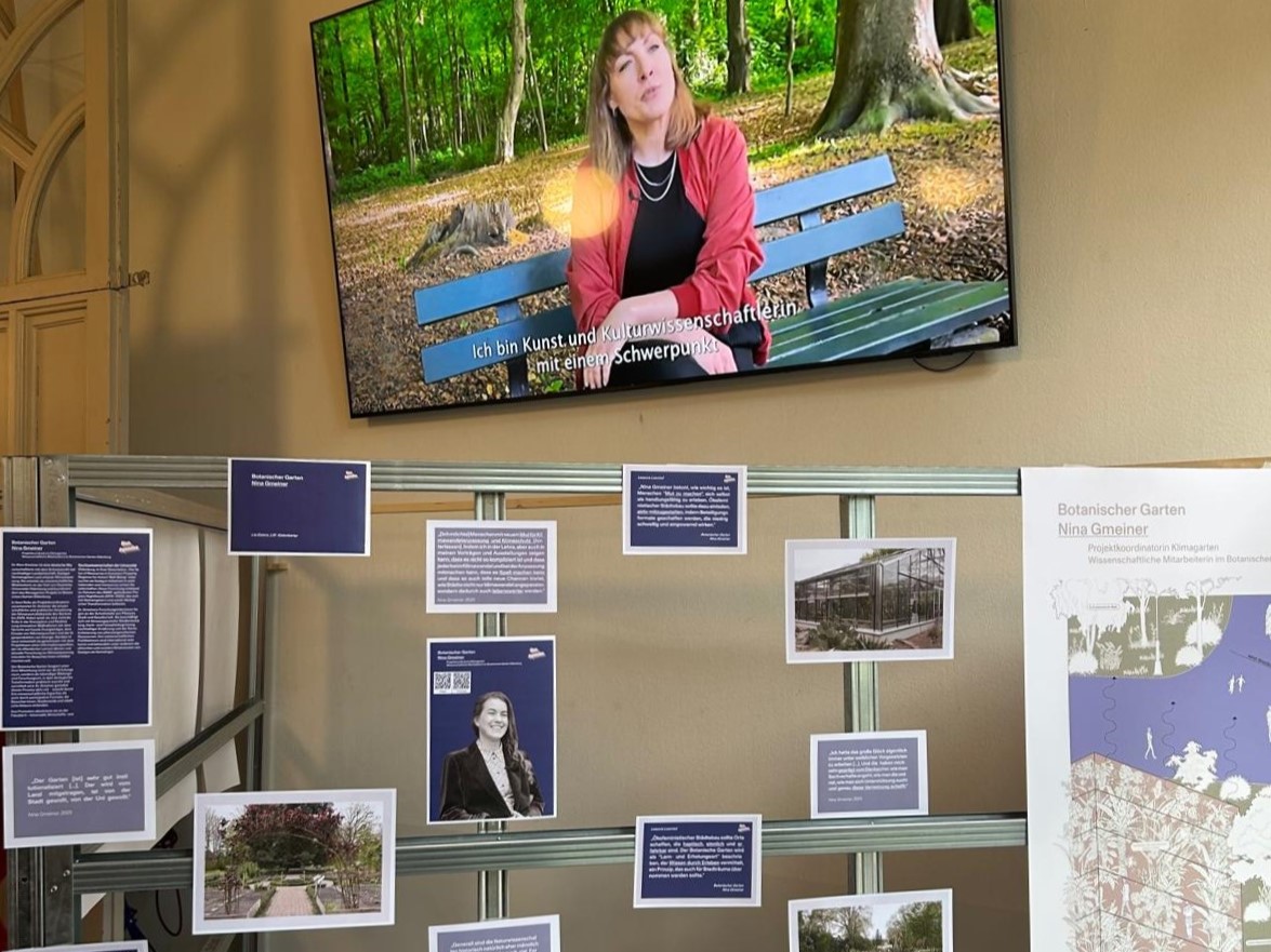 Bildschirm mit Video und Textausschnitte und Bilder an einer Stellwand davor