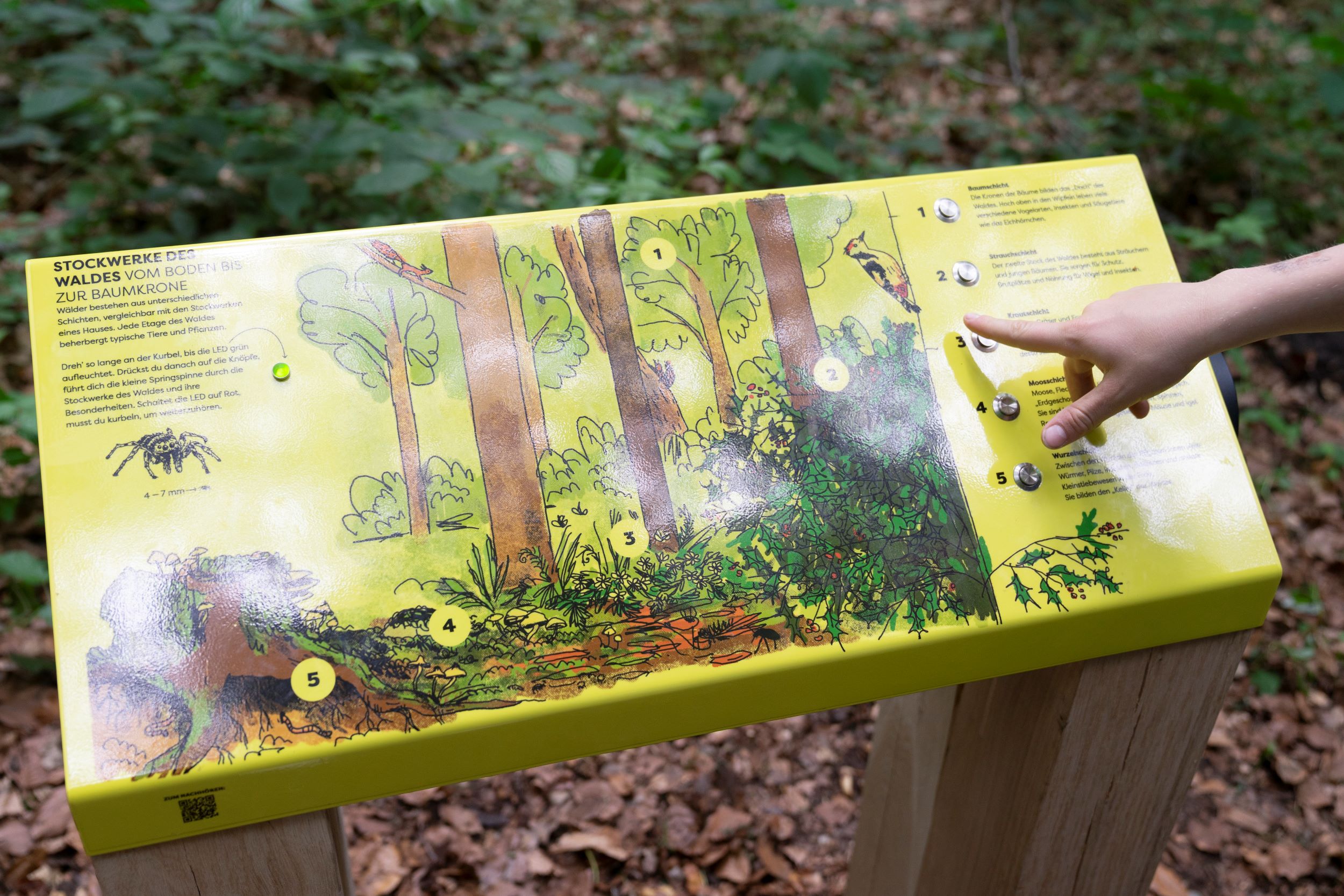 Gelbe Tafel mit Waldbild und Knöpfen