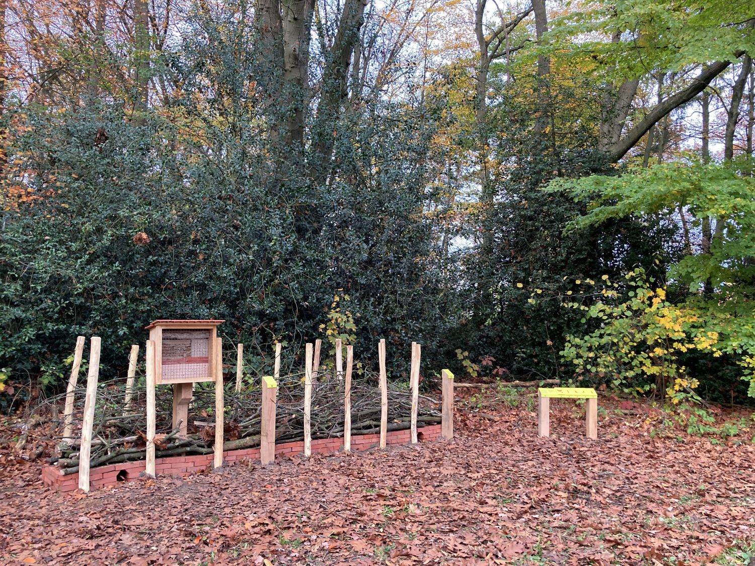 Benjeshecke aus aufgestapelten Zweigen und Wildbienennisthilfe