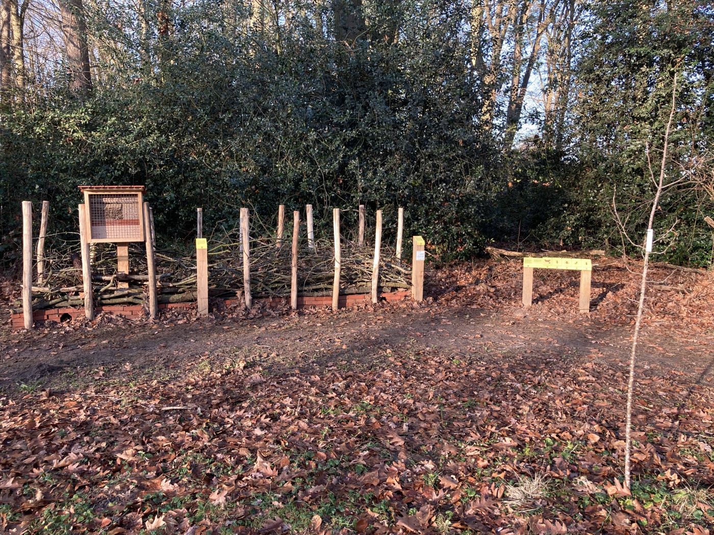 Benjeshecke aus aufgestapelten Zweigen und Wildbienennisthilfe