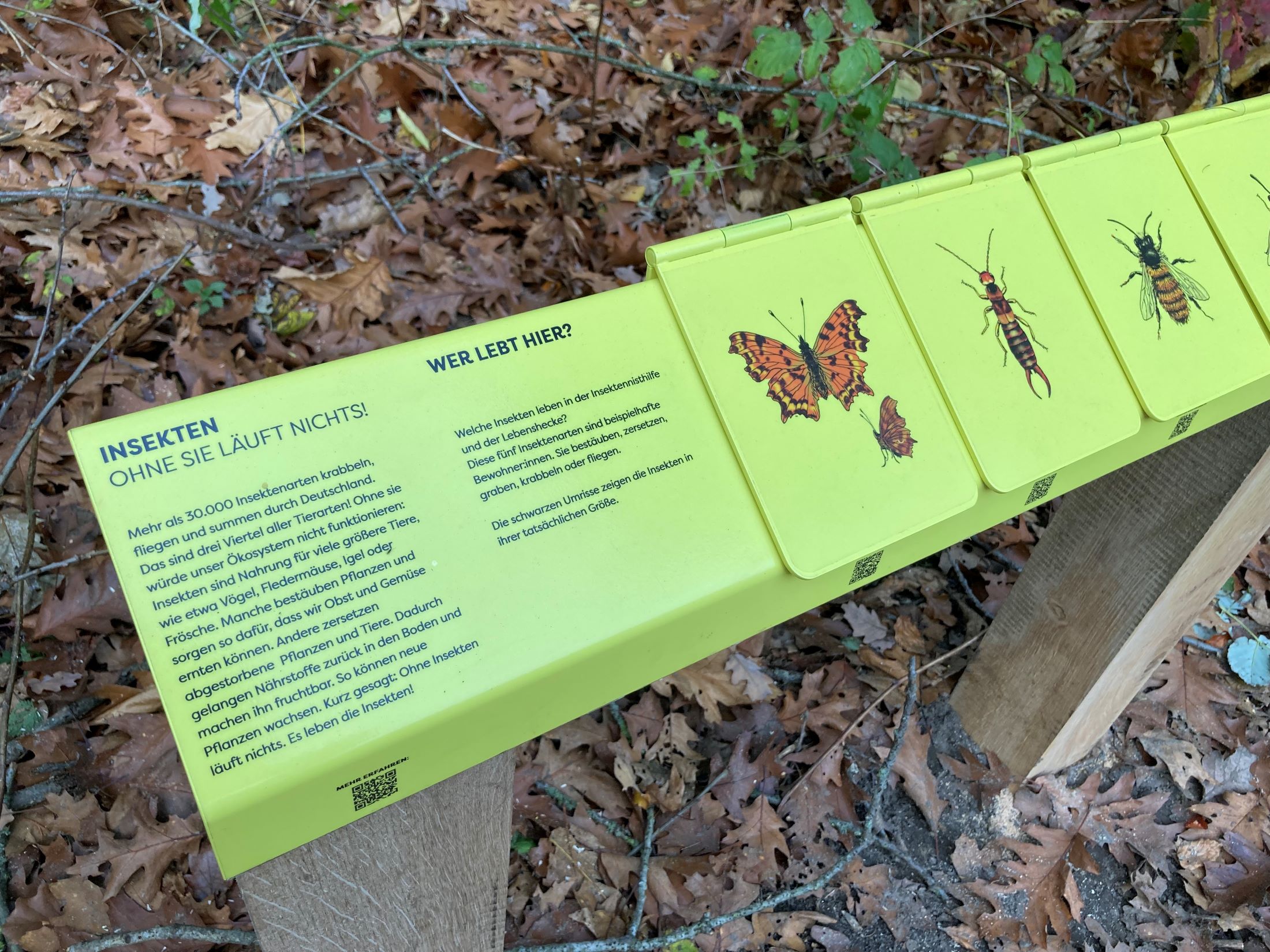 Texttafel mit Klappen und bunten Tierbildern