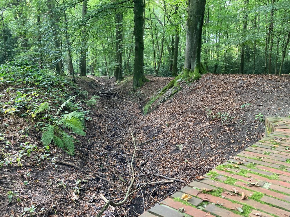 Ausgetrockneter Graben im Eversten Holz