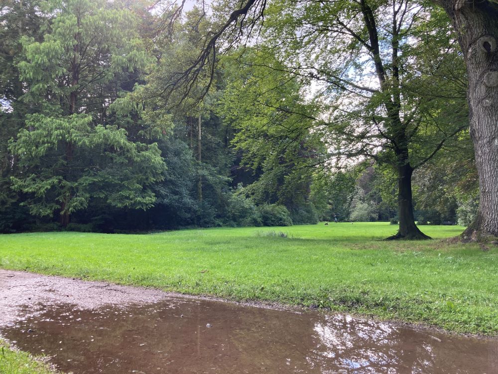 Große Pfütze auf einem Weg entlang der Liegewiese