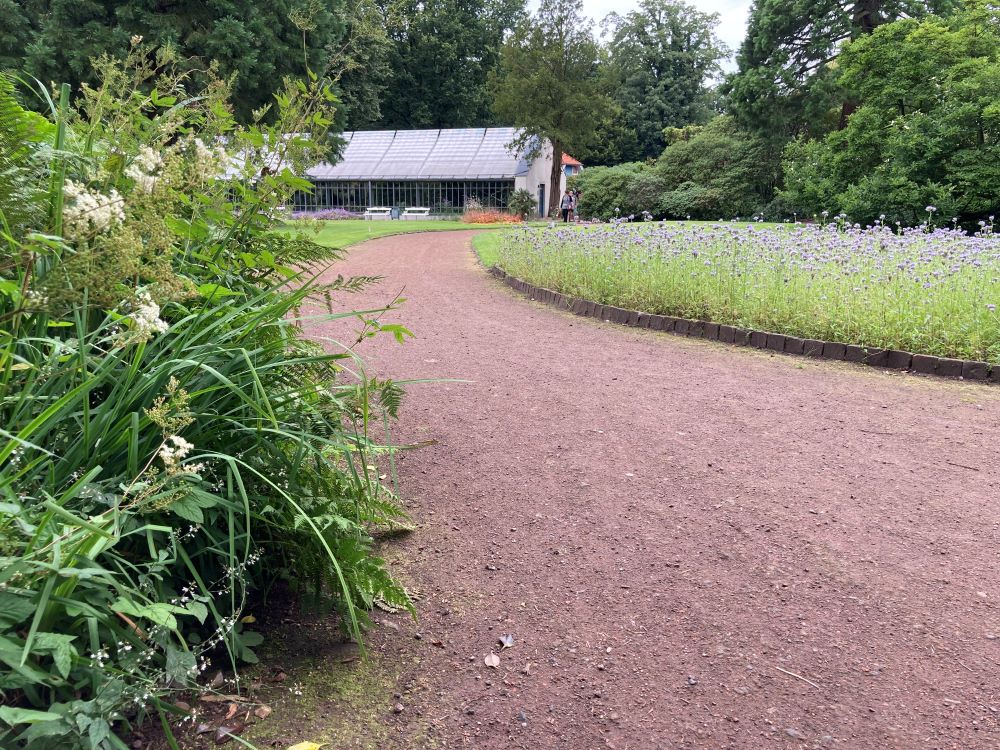 Blick auf einen Weg zwischen Blumenbeeten hindurch