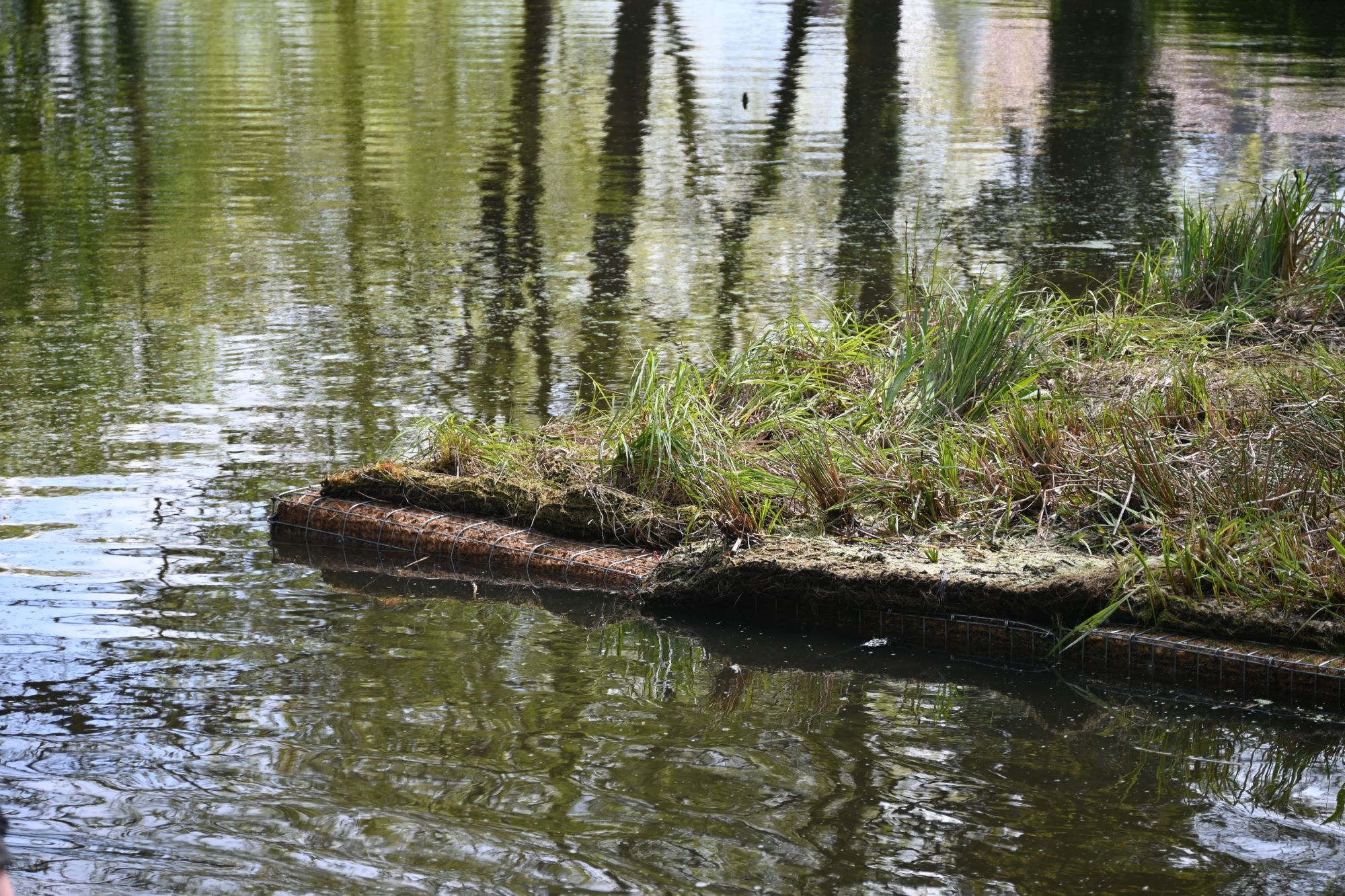 Schwimmende Teichinsel mit Bewuchs