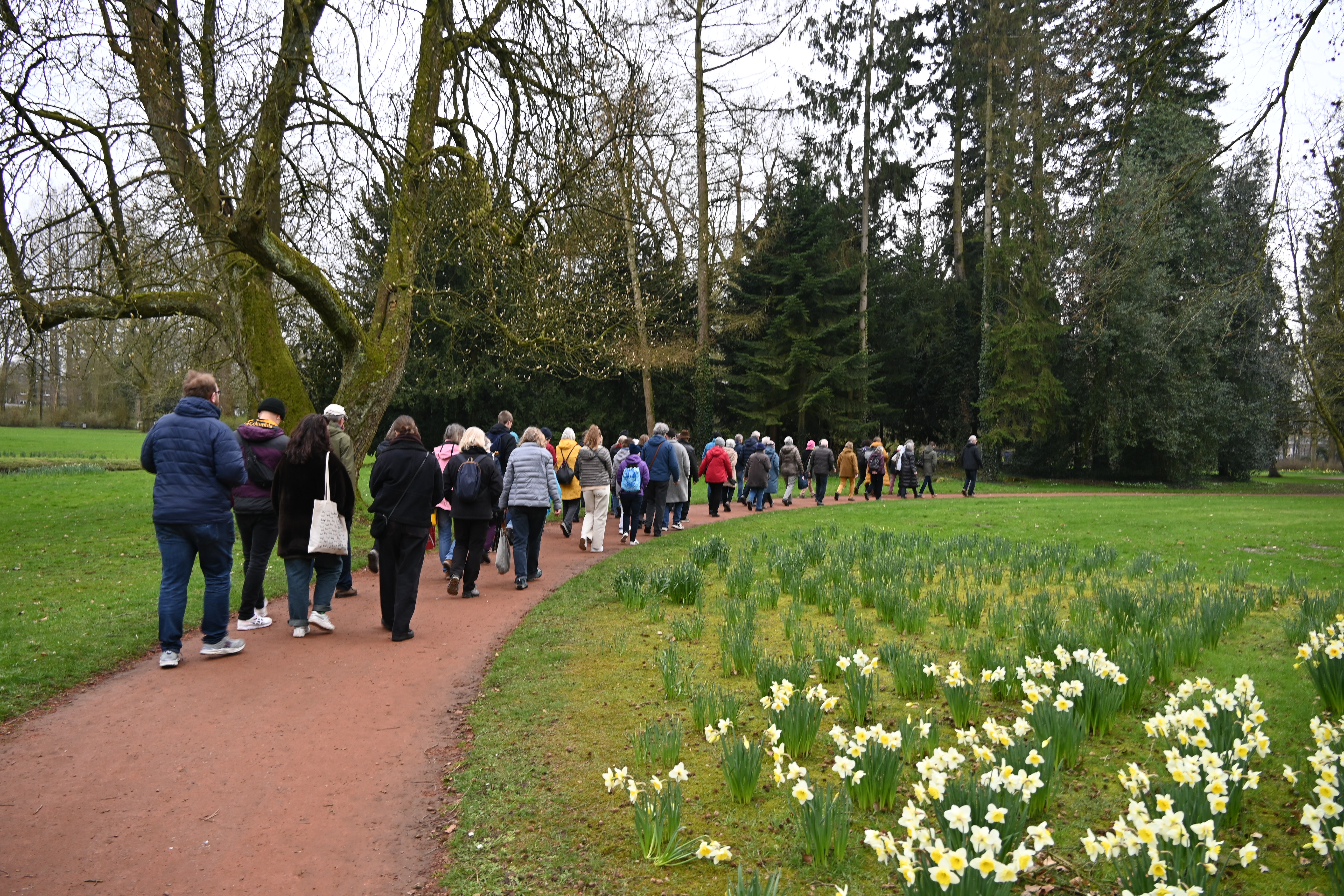 Menschenmenge wandert durch den Park, im Vordergrund Narzissen