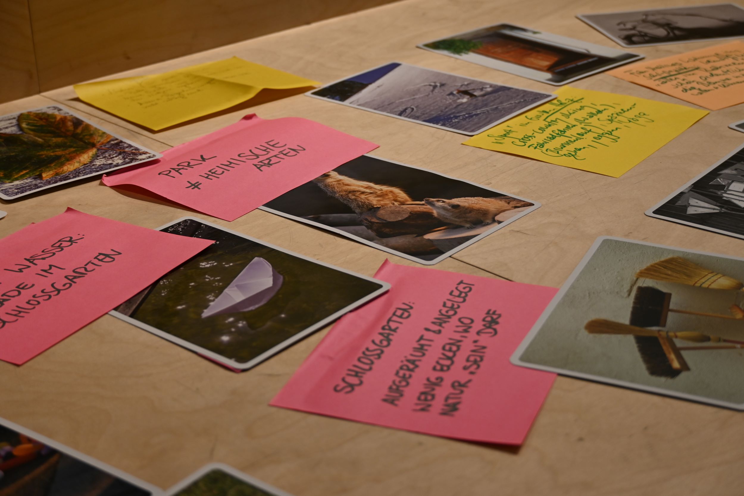 Bilder und Schriftkarten aus einer Session des ersten Klimaoasen-Labors