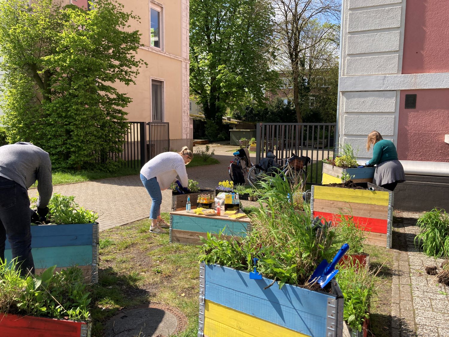 Mehrere Menschen arbeiten an bunten Hochbeeten vor dem Landesmuseum